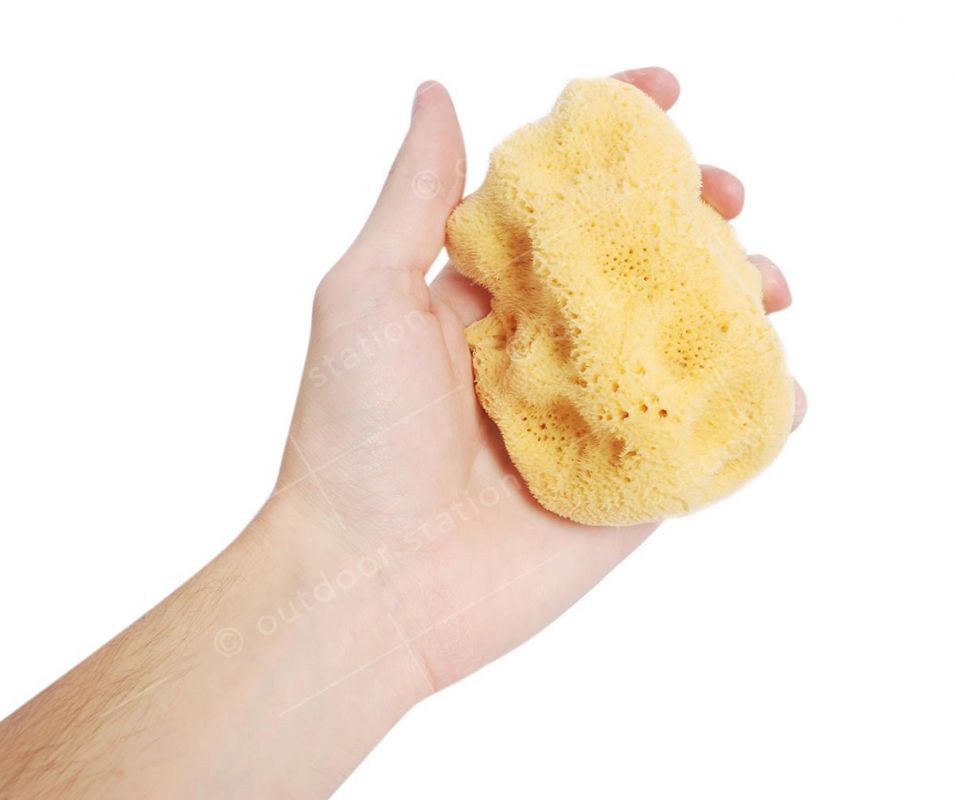 Naravna jadranska spužva za tuširanje 9- 18cm 10-12cm