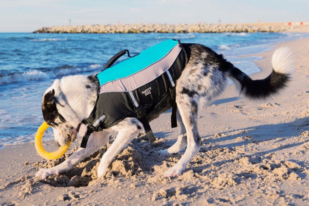 Aquarius rešilni jopič za psa Safety Dog L