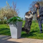 Zunanja cvetlična korita Quadro - Beljena imitacija lesa L