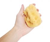 Naravna jadranska spužva za tuširanje 9- 18cm 10-12cm