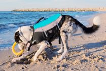 Aquarius rešilni jopič za psa Safety Dog L